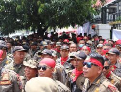 PPPK Paruh Waktu Belum Jelas, Dinas Berani Ambil Keputusan soal Honorer Gagal