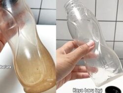 Cuma Pakai Beras Secuil, Menghilangkan Lumut di Botol Minum Tanpa Sikat, Ternyata Sepele Banget!