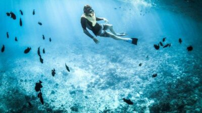 Itinerary Probolinggo 3 Hari 2 Malam, Snorkeling di Gili Ketapang Bujet Rp 120 Ribuan