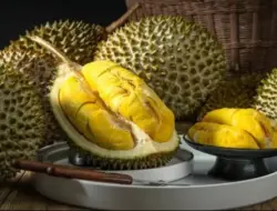 Asal Jangan Berlebihan, Ini 5 Manfaat Buah Durian untuk Kesehatan