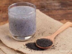 5 Manfaat Minum Air Chia Seed pada Pagi Hari Saat Perut Kosong,Bisa Menurunkan Kadar Kolesterol