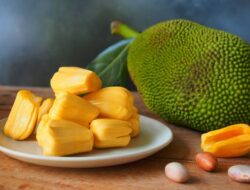 Kelompok Orang yang Tidak Dianjurkan Makan Nangka dan Bijinya