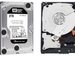 7 Jenis Hard Disk: Apa Perbedaannya?