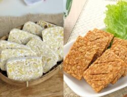 Suka Banget Makan Tempe Tiap Hari? Ini Efek yang Akan Terjadi pada Tubuh