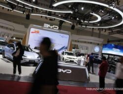 Insentif PPnBM Mobil Listrik Resmi Berlaku, Cek Harga Mobil BYD Atto Dolphin M6 2025