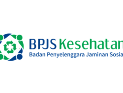 Duduk Perkara Polemik Karyawan BPJS Kesehatan Pakai Asuransi Swasta