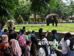 Pengunjung Mengeluh Banyak yang Merokok di Ragunan, Ini Tanggapan Pengelola