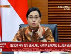 Barang Mewah yang Terkena PPN 12% Mulai 1 Januari 2025