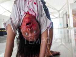 5 Rekomendasi Film Zombie dengan Rating Tertinggi