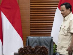 Greenpeace Kritik Kebijakan Sawit Prabowo: Melanggar Komitmen Menurunkan Emisi