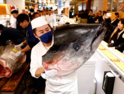 Foto: Ikan Tuna Sirip Biru Seberat 276 Kg di Jepang Laku Terjual Rp 21 Miliar