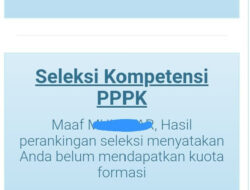 Akun SSCASN Peserta Kode R2 Tetiba Berubah, Tanda PPPK Paruh Waktu?