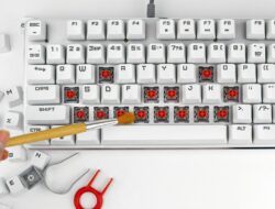 Apa Itu Switch Keyboard Mekanikal, Fungsi dan Jenisnya?