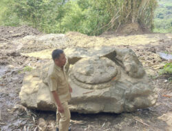 Batu Besar Diduga Arca Ditemukan di Proyek Jalan Prambanan-Gunungkidul