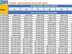 Tabel Angsuran KUR BRI 2025 1-100 Juta,Cicilan Murah Mulai Rp21.667/bulan Selama 5 Tahun