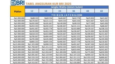 Tabel Angsuran KUR BRI 2025 1-100 Juta,Cicilan Murah Mulai Rp21.667/bulan Selama 5 Tahun