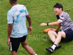 Buntut Pemecatan Shin Tae-yong, Komisi X DPR Bakal Panggil Pengurus PSSI