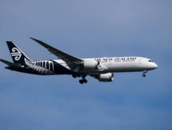 Pesawat Air New Zealand Gagal Terbang karena Tabrakan dengan Burung