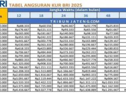 KUR BRI 2025 Dibuka,Info Cicilan Tertinggi dan Terendah Pinjam Rp 5 Juta di Bank BRI,Cek Tabel