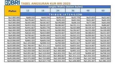 KUR BRI 2025 Dibuka,Info Cicilan Tertinggi dan Terendah Pinjam Rp 5 Juta di Bank BRI,Cek Tabel