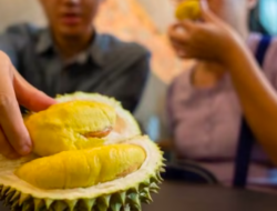 Apakah Buah Durian Bisa Meningkatkan Kadar Gula Darah? Ini Penjelasannya…