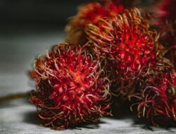 Buah Rambutan Bermanfaat untuk Apa? Berikut 10 Daftarnya…