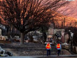 Update Terbaru Kebakaran Los Angeles: 25 Tewas, 9.596 Hektar Lahan Hangus