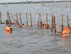 Pagar Laut di Tangerang Dibongkar, 600 Prajurit TNI AL Dikerahkan