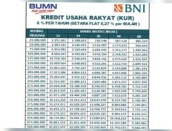 Simulasi Tabel Angsuran KUR BNI 2025 Pinjaman Rp 25 Juta-Rp 50 Juta,Cek Syarat dan Cara Ajukan