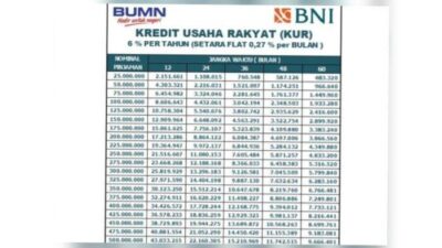 Simulasi Tabel Angsuran KUR BNI 2025 Pinjaman Rp 25 Juta-Rp 50 Juta,Cek Syarat dan Cara Ajukan