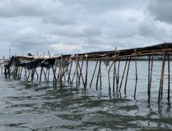 Terungkap! Perusahaan Aguan Miliki Sertifikat HGB di Area Pagar Laut