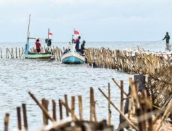 Profil 2 Perusahaan Pemilik Ratusan Bidang HGB di Area Pagar Laut Tangerang