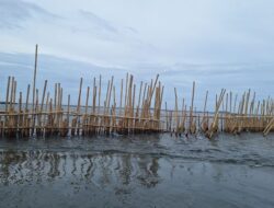 Siapa Intan Agung Makmur dan Cahaya Inti Sentosa Pemilik HGB Area Pagar Laut Tangerang?