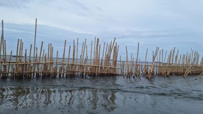 Siapa Intan Agung Makmur dan Cahaya Inti Sentosa Pemilik HGB Area Pagar Laut Tangerang?