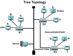 Ciri-ciri Topologi Tree dan Cara Kerjanya dalam Jaringan Komputer yang Perlu Diketahui