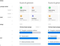 5 Cara Mengatasi Suara Speaker HP Android Hilang,Mudah dan Praktis Dilakukan