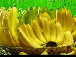 5 Makanan Ini Sebaiknya Tidak Dikonsumsi Bersama Pisang