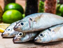 2 Bagian Ikan yang Tidak Boleh Dimakan, Karena Efeknya Bisa Bahaya