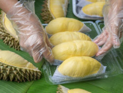 Segini Porsi Tepat Makan Durian Menurut Ahli Kesehatan