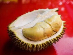 Apakah Durian Menyebabkan Kolesterol dan Darah Tinggi? Ini Ulasannya