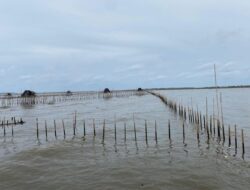 Kesaksian Warga: Pagar Laut Dibuat Pekerja dengan Jalan Kaki ke Tengah Laut