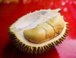 Cara Makan Durian yang Aman dan Sehat