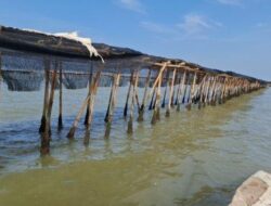 Awal Mula Munculnya Pagar Laut di Tangerang,5 Truk Bawah Bambu dan Dibangun Tengah Malam