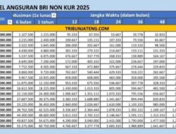 Syarat Ajukan BRI Non KUR 2025,Cek Tabel Angsuran Pinjaman Rp 1-500 Juta,Bisa Bayar 1 Kali Lunas