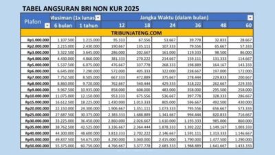 Syarat Ajukan BRI Non KUR 2025,Cek Tabel Angsuran Pinjaman Rp 1-500 Juta,Bisa Bayar 1 Kali Lunas