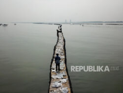 Kelompok Nelayan Tangerang Ini Ungkap Siapa Pembangun dan Peruntukkan Pagar Laut 30 Km