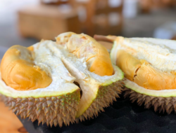 Sehabis Makan Durian Sebaiknya Konsumsi Apa? Ini Obat Mabuk Durian