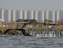 Nelayan: TNI AL Kirim Ratusan Marinir dari Jakarta Bantu Bongkar Pagar Laut Hari Ini