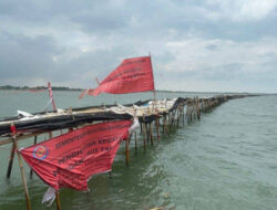 Pembuat Pagar Bambu di Laut Tangerang Diberi Somasi, akan Dilaporkan ke Polri