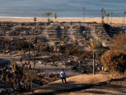 Misteri Pohon-Pohon Tetap Berdiri di Samping Rumah yang Terbakar di Los Angeles